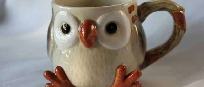 Fun Finds Friday: What a Hoot!